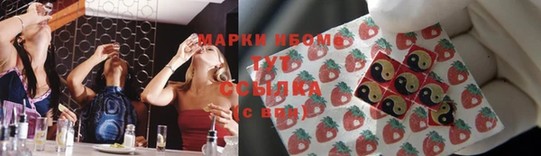 прущие грибы Протвино