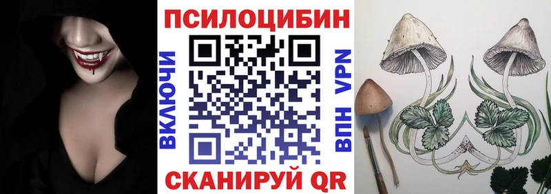 omg ссылка  сколько стоит  Любим  Псилоцибиновые грибы мицелий 